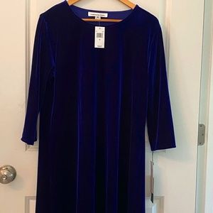 Blue Velvet Caroline Rose dress